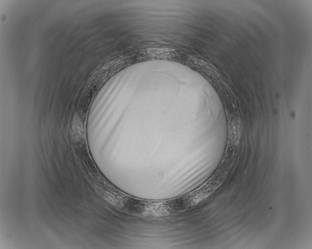 X0000083610705200703051543