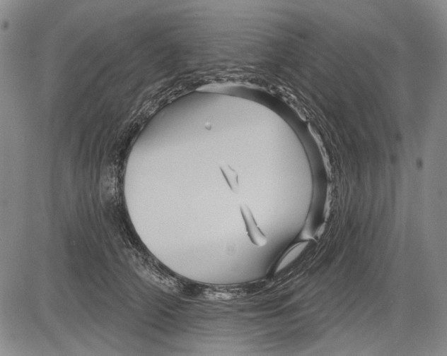 X0000083610706200703051543