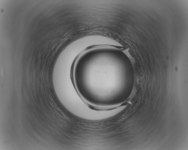 X0000083610708200703051543