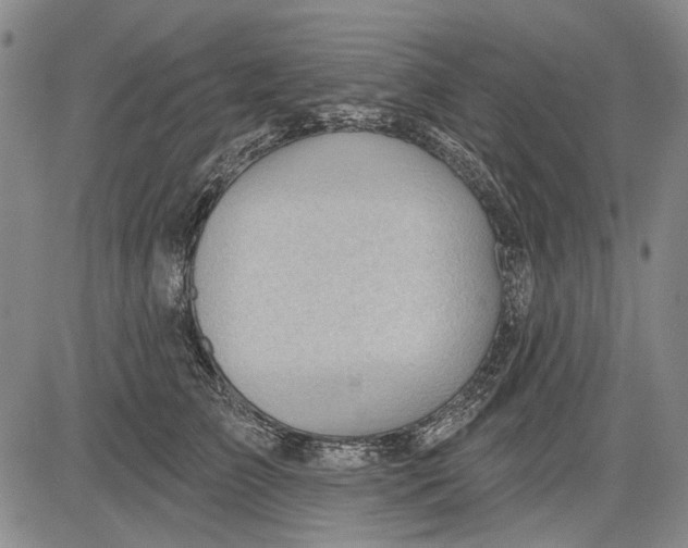 X0000083610709200703051543