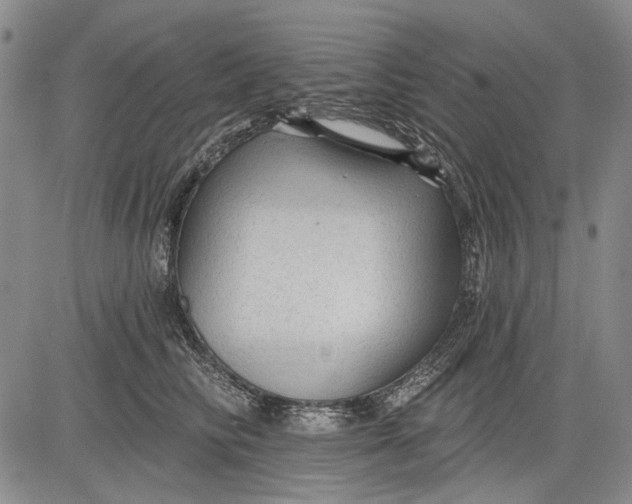 X0000083610710200703051543