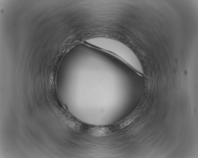 X0000083610711200703051543