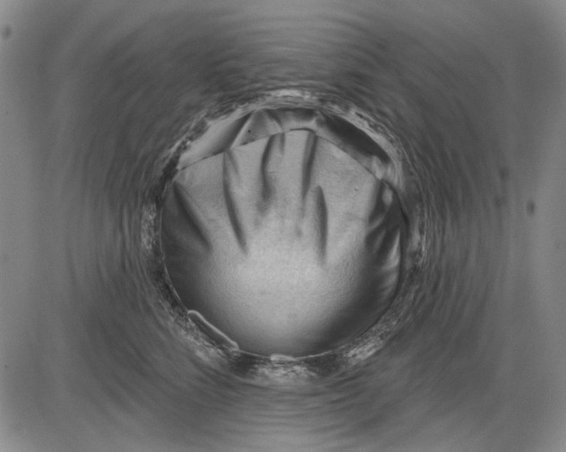 X0000083610712200703051543