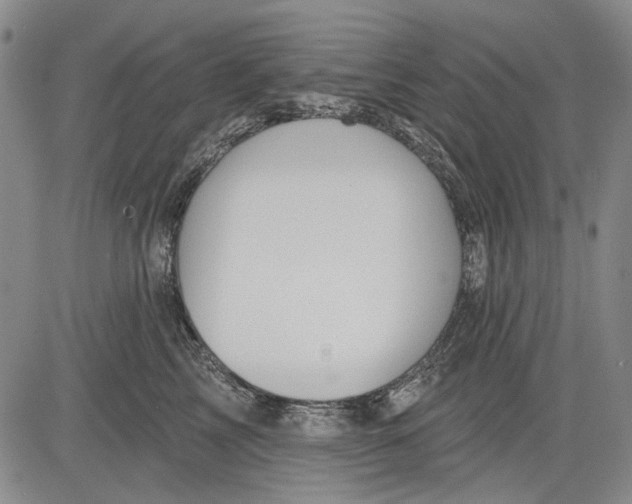 X0000083610713200703051543