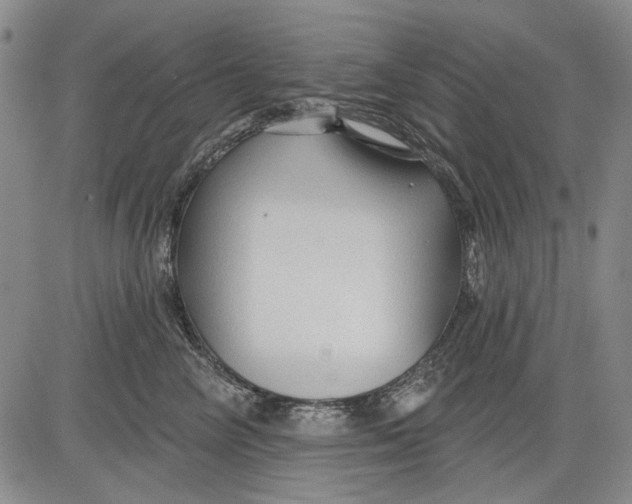 X0000083610714200703051543