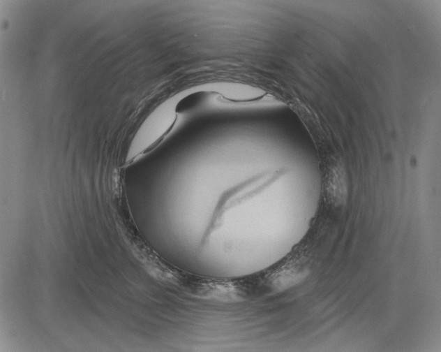 X0000083610715200703051543