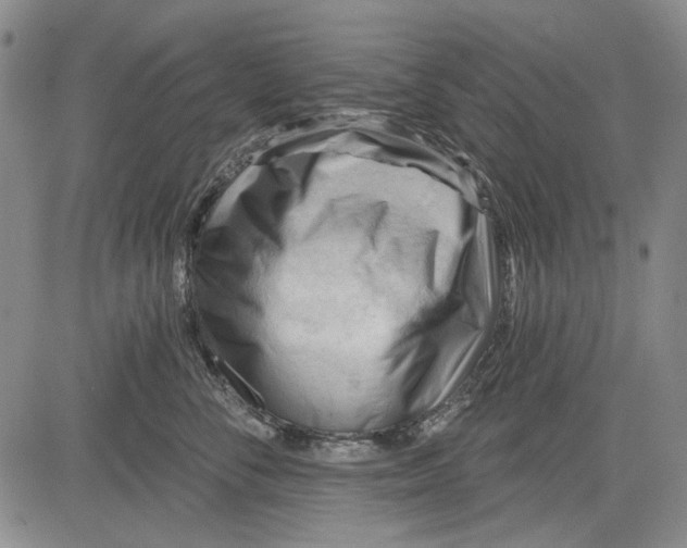 X0000083610716200703051543