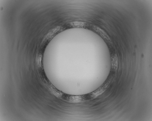 X0000083610717200703051543