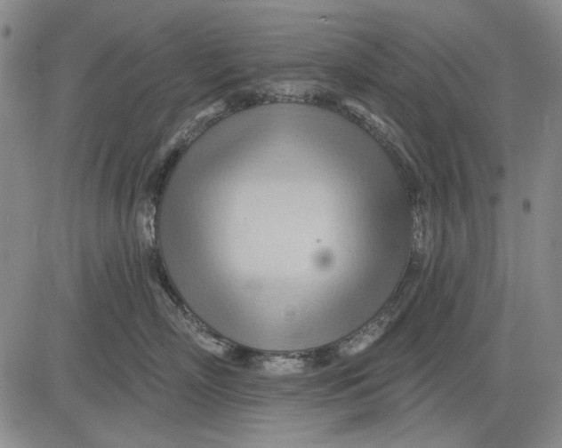 X0000083610718200703051543