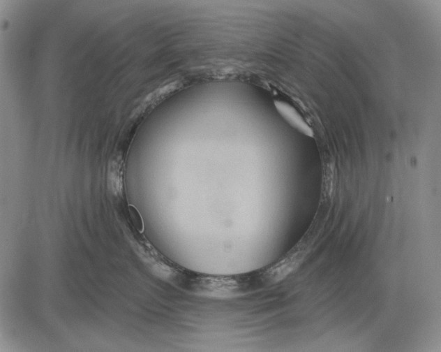 X0000083610719200703051543