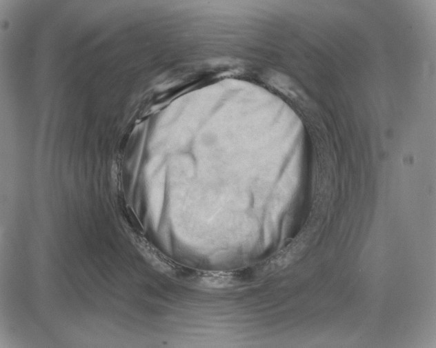 X0000083610720200703051543