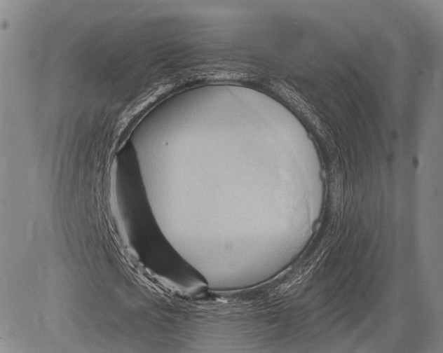 X0000083610721200703051542