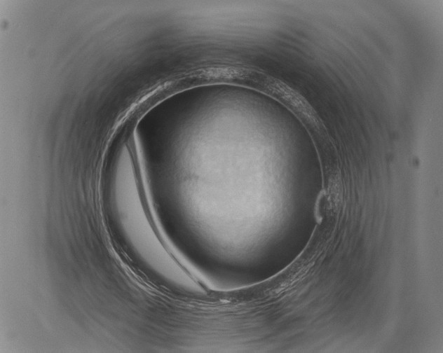 X0000083610722200703051542