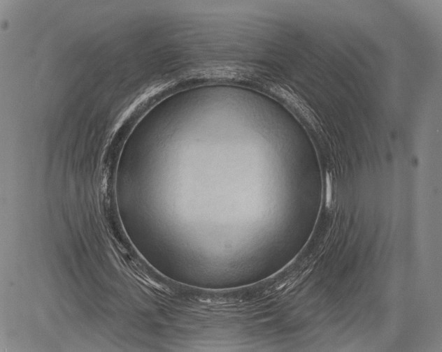 X0000083610723200703051542