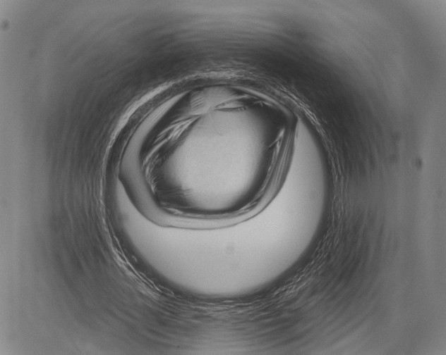 X0000083610724200703051542