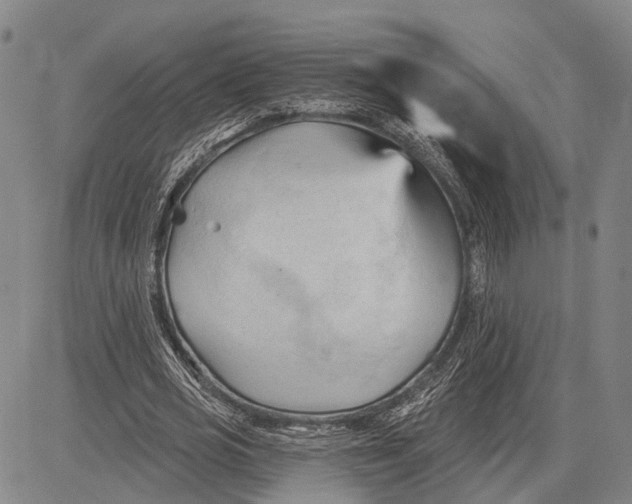 X0000083610725200703051542