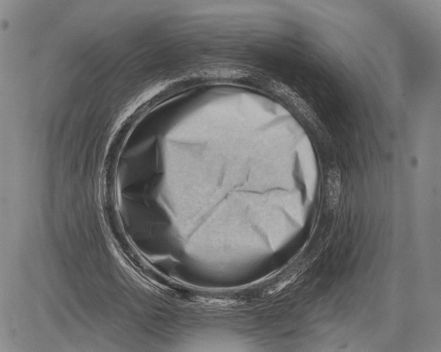 X0000083610726200703051542