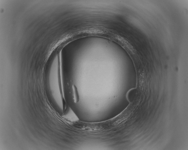 X0000083610727200703051542