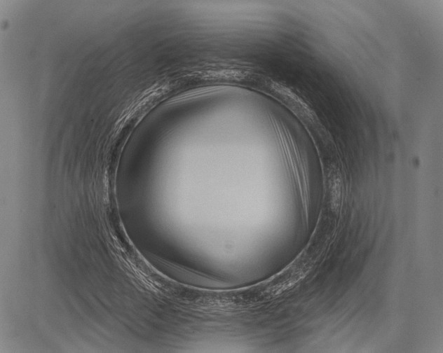 X0000083610729200703051543