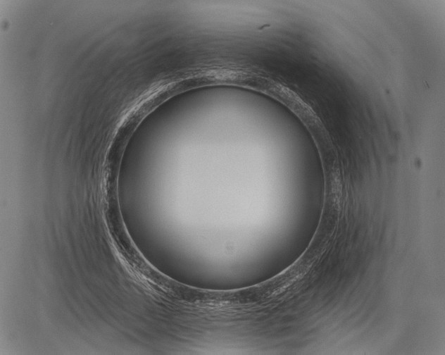 X0000083610730200703051543