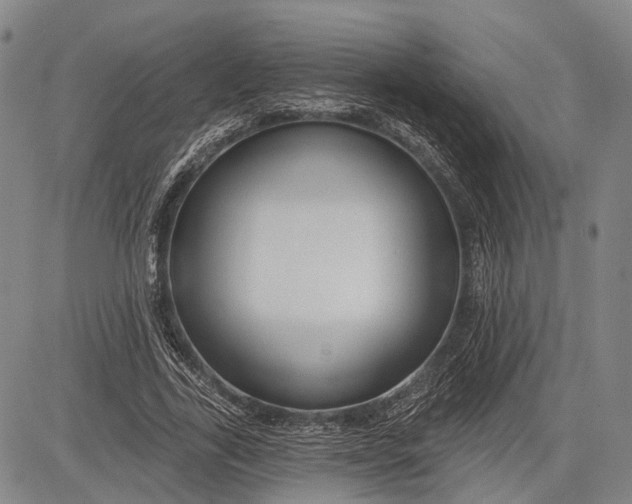 X0000083610731200703051543