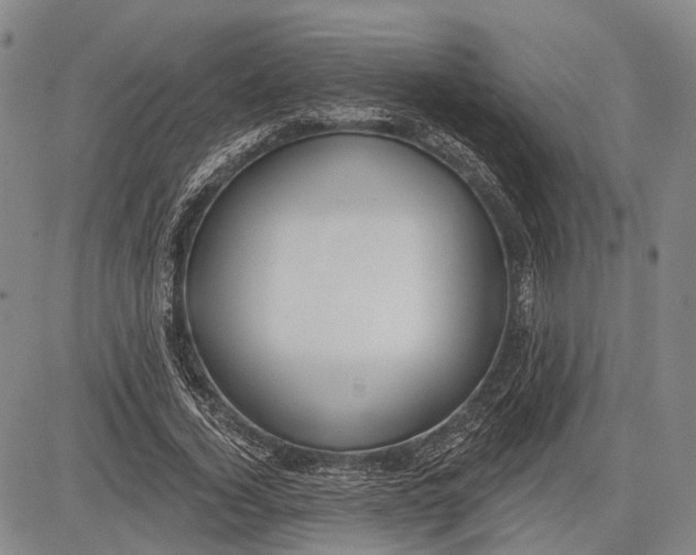 X0000083610732200703051543