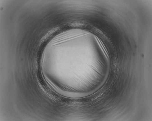 X0000083610734200703051543