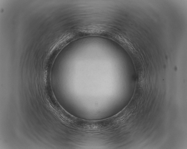 X0000083610735200703051543