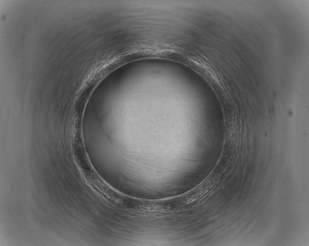 X0000083610736200703051543