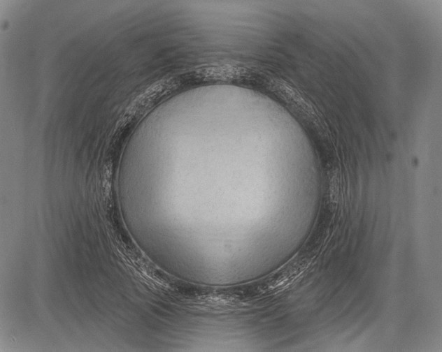 X0000083610737200703051543