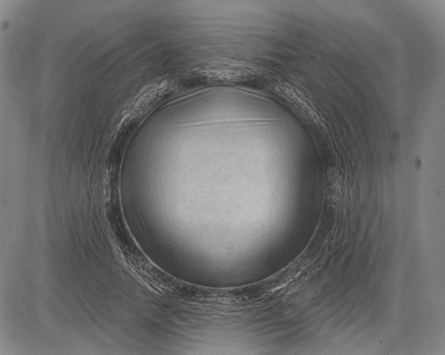 X0000083610738200703051543