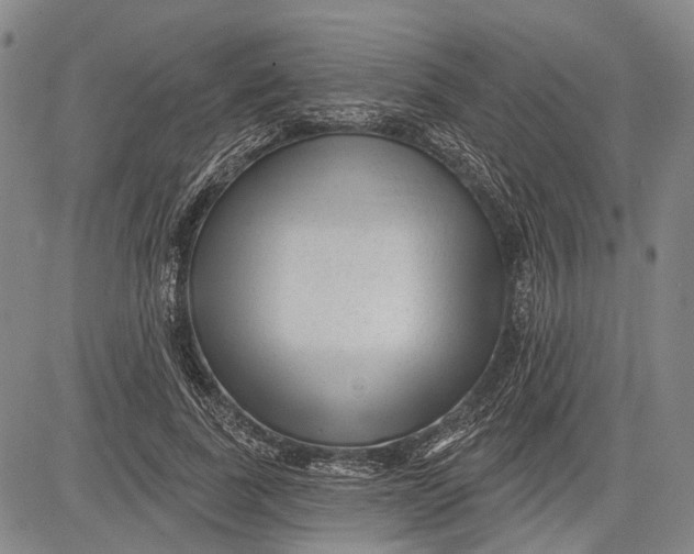 X0000083610739200703051543