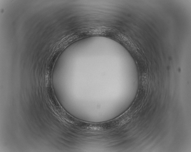 X0000083610741200703051543