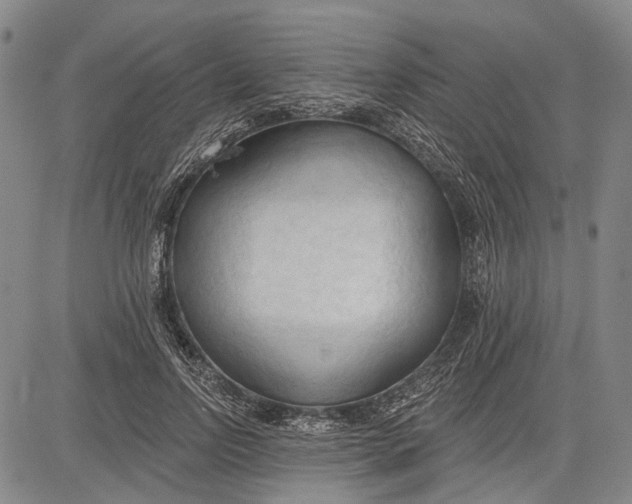 X0000083610742200703051543