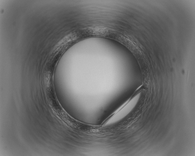 X0000083610744200703051543