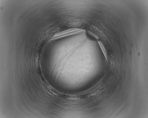 X0000083610745200703051543