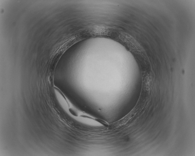 X0000083610746200703051543