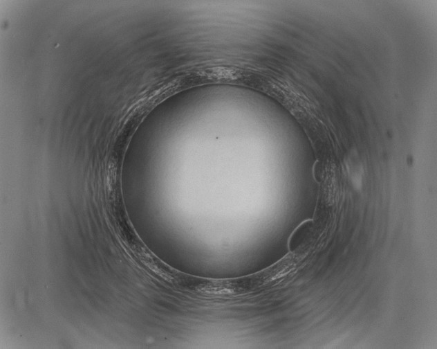 X0000083610747200703051543