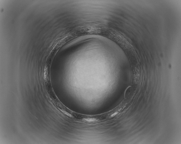 X0000083610748200703051543