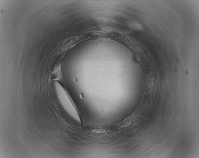 X0000083610749200703051543