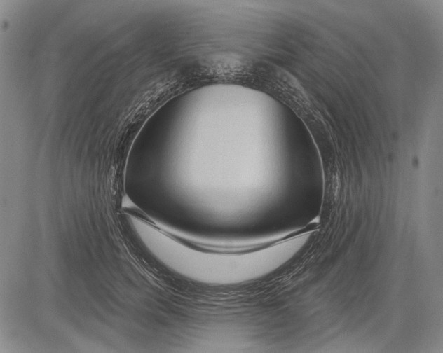 X0000083610750200703051543