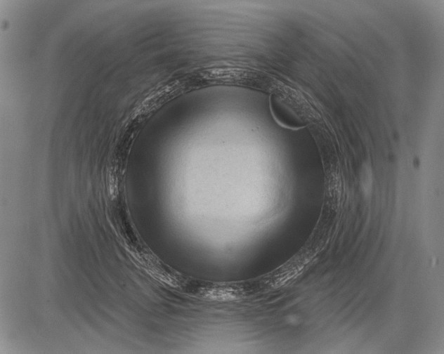 X0000083610751200703051543