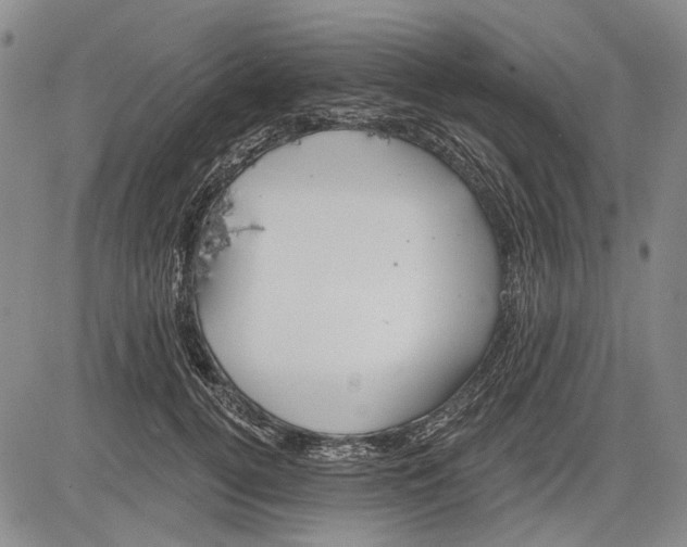 X0000083610752200703051543