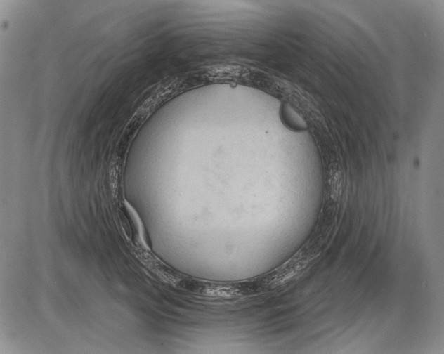 X0000083610753200703051543