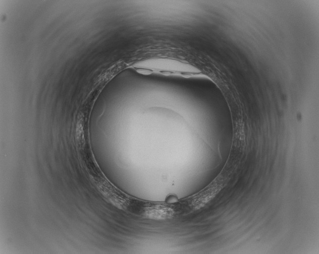 X0000083610754200703051543