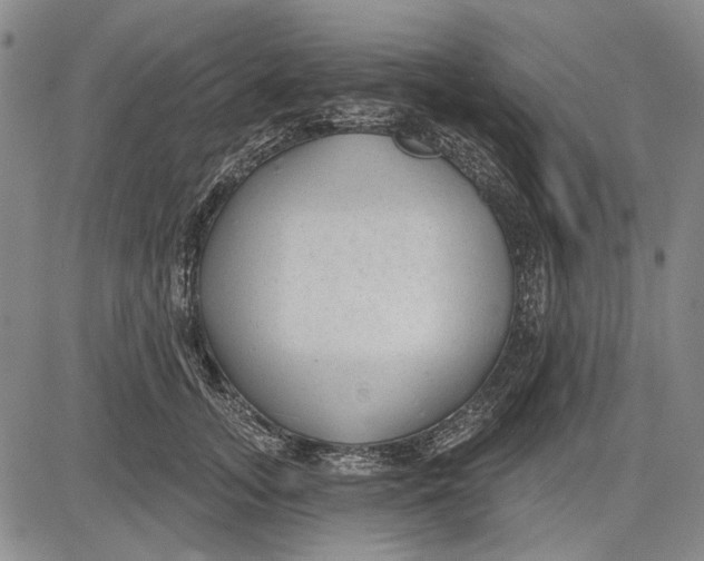 X0000083610755200703051543