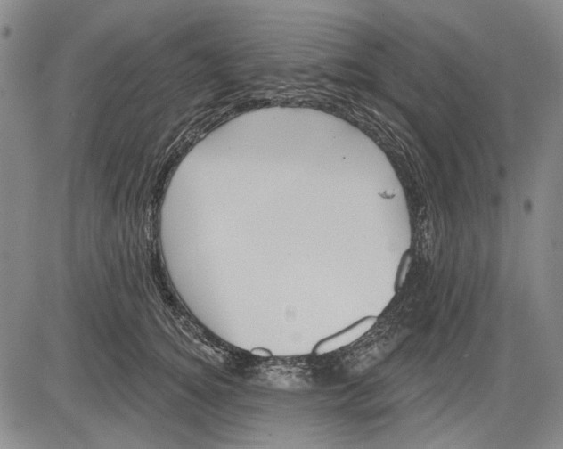 X0000083610756200703051543