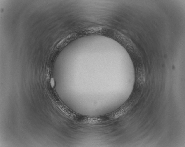 X0000083610758200703051543