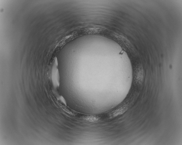 X0000083610759200703051543