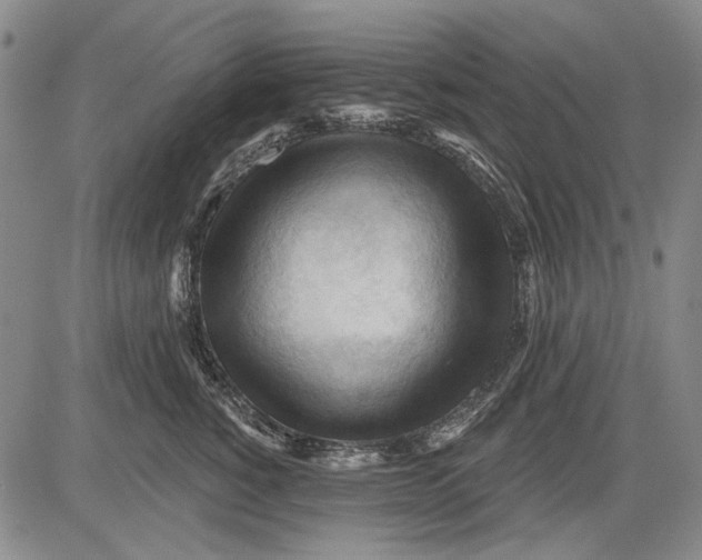 X0000083610760200703051543